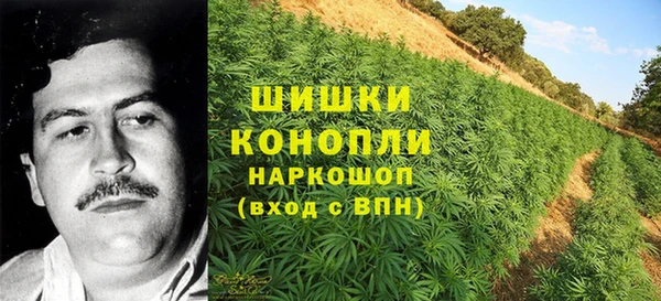 кокаин колумбия Белокуриха